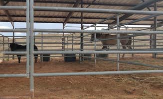 Maaike en Wouter S.'s photo of camping with a horse at Ethel's Hideout RV park and Campground: Kanab in Arizona