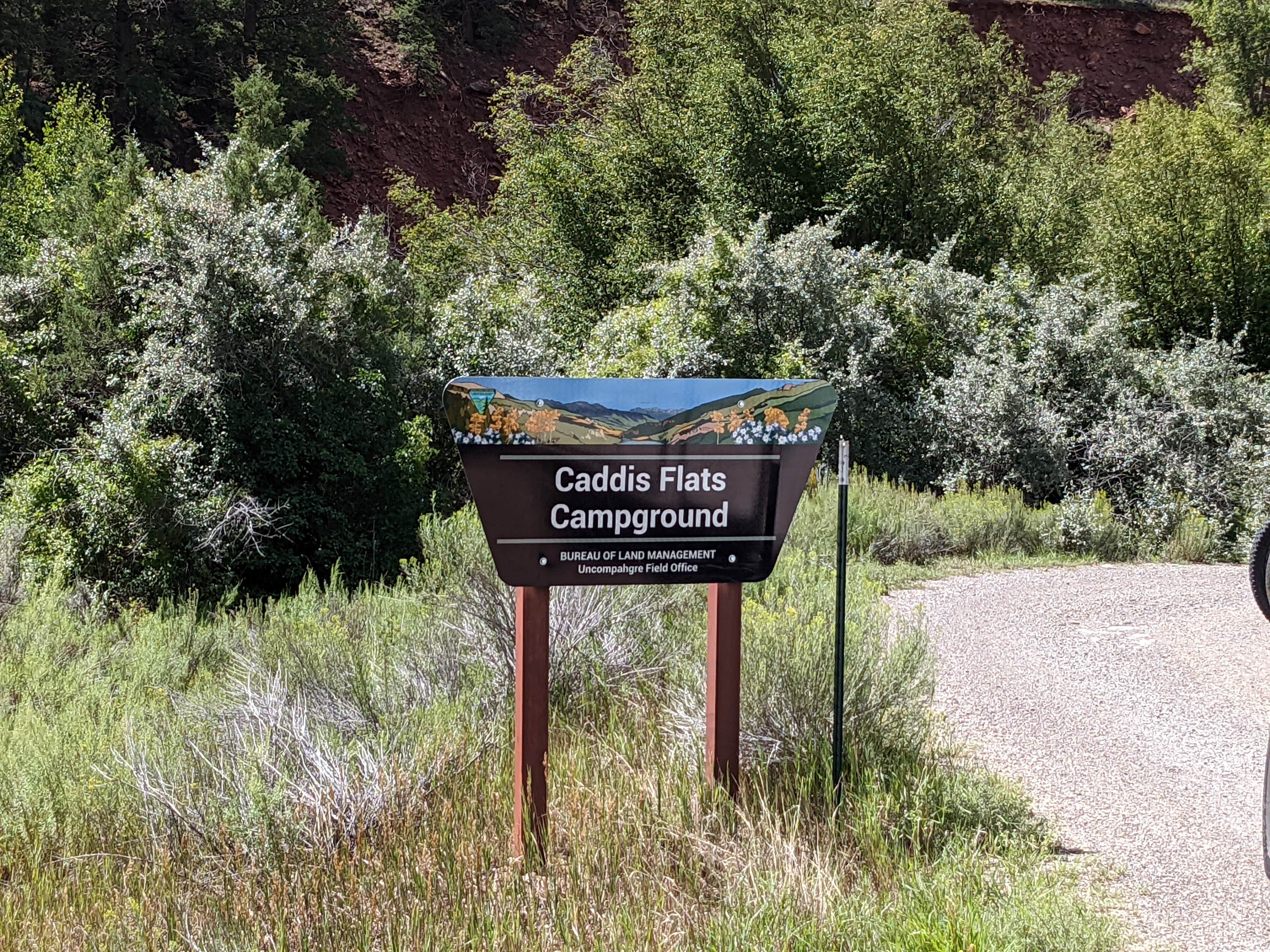 Camper submitted image from Caddis Flats - 5