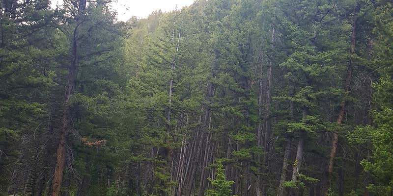 Camper submitted image from Timber Creek Reservoir