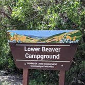 Review photo of BLM Lower Beaver Campground by Greg L., August 6, 2022