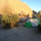 Review photo of White Tank Campground — Joshua Tree National Park by Elena S., July 22, 2018