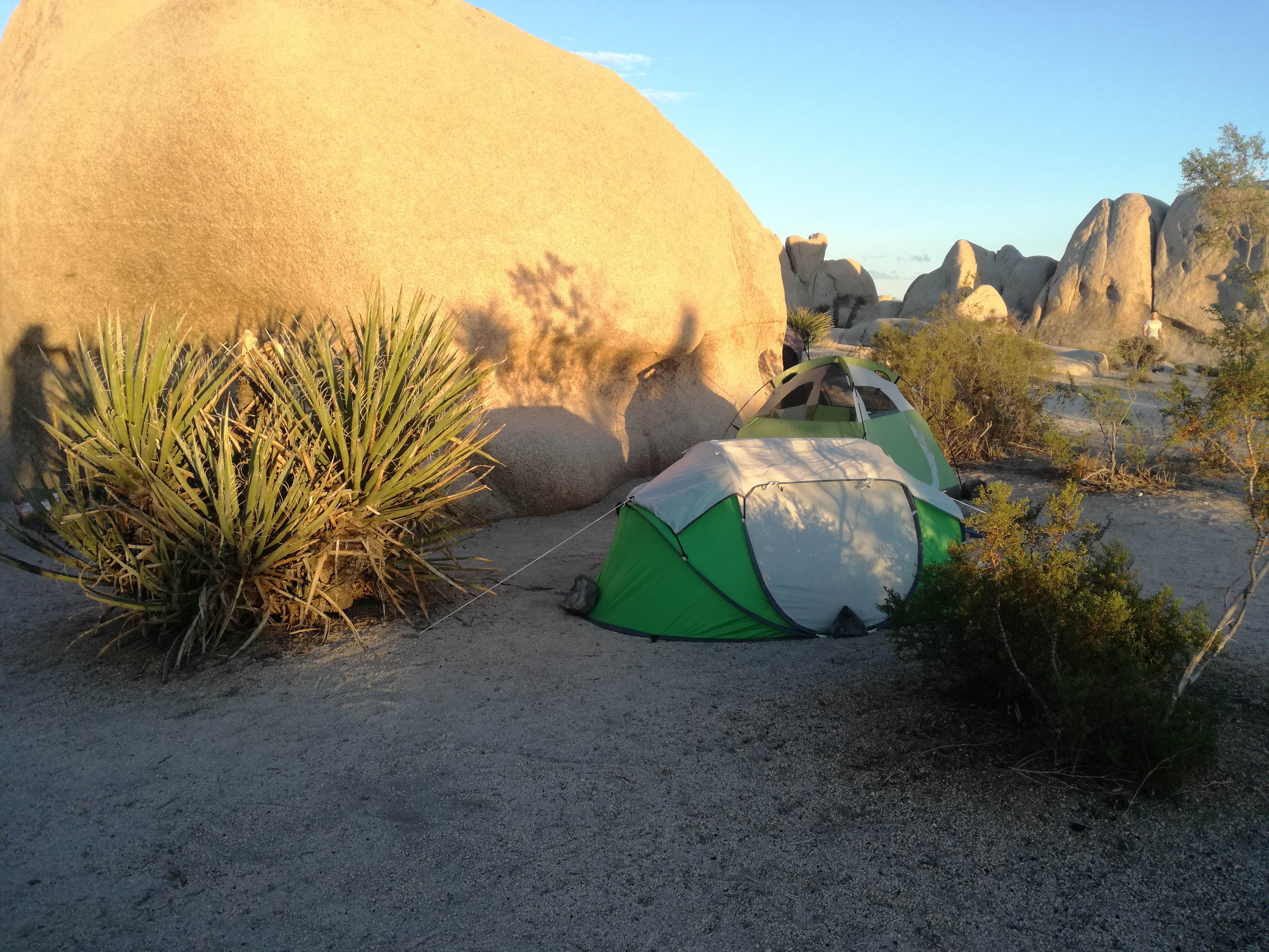 Camper submitted image from White Tank Campground — Joshua Tree National Park - 5