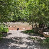 Review photo of BLM Lower Beaver Campground by Greg L., August 6, 2022