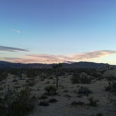 Review photo of White Tank Campground — Joshua Tree National Park by Elena S., July 22, 2018