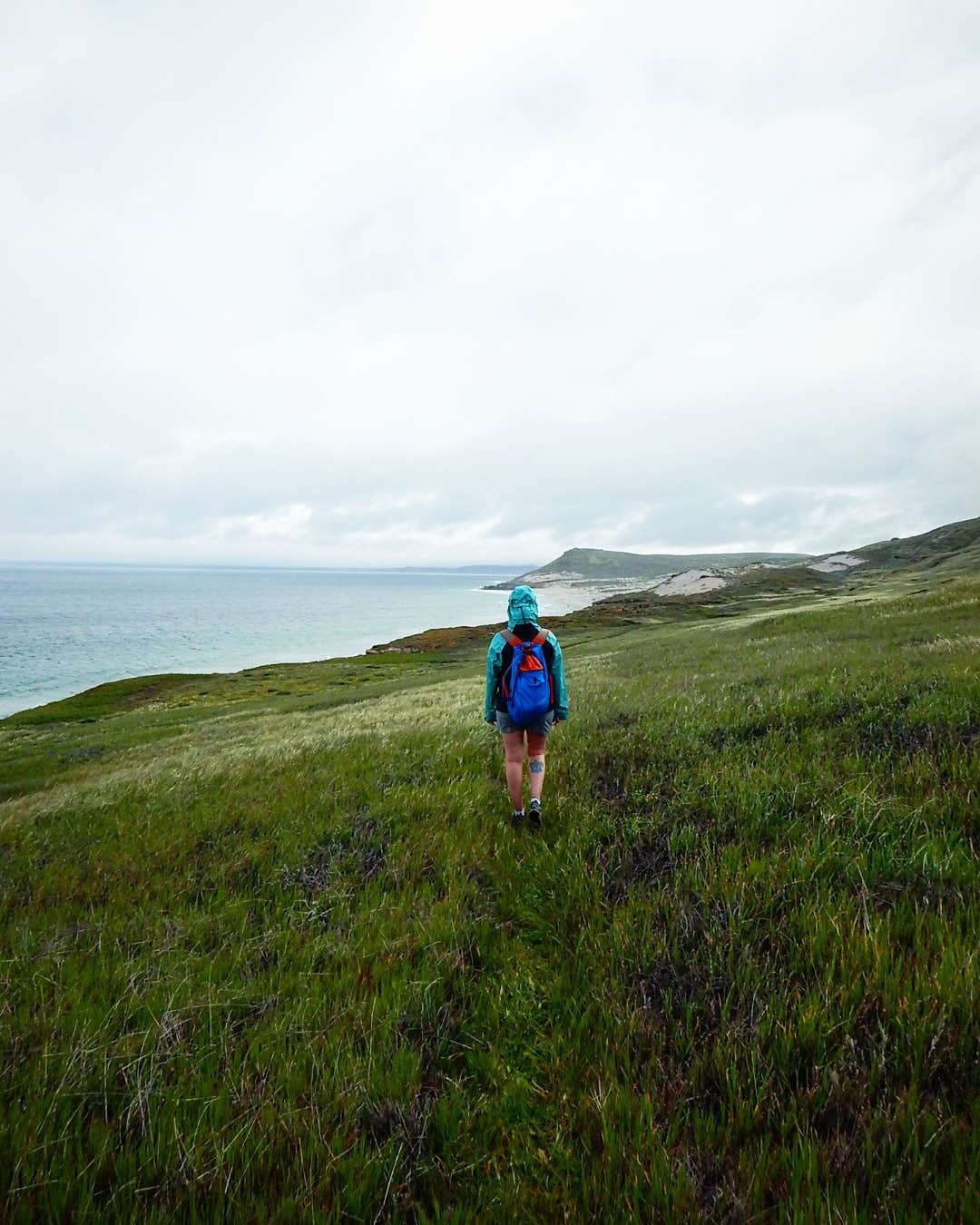 Camper-submitted photo at Santa Rosa Island Backcountry Beach Camping — Channel Islands National Park near Channel Islands National Park