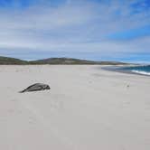 Review photo of Santa Rosa Island Backcountry Beach Camping — Channel Islands National Park by Katie O., July 22, 2018