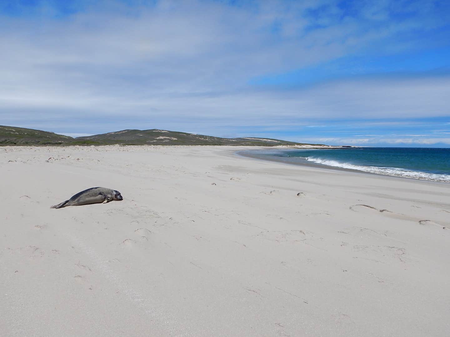 Camper submitted image from Santa Rosa Island Backcountry Beach Camping — Channel Islands National Park - 3