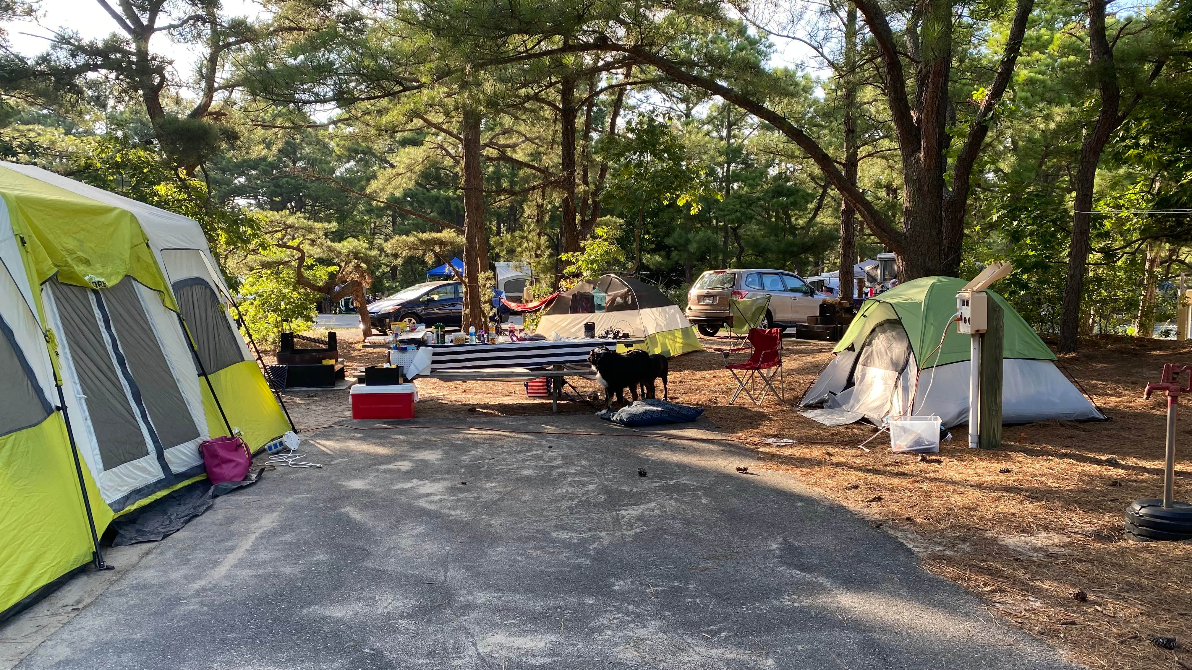 barb C.'s photo at Cape Henlopen State Park Campground near Harrington, DE