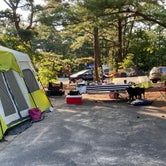Review photo of Cape Henlopen State Park Campground by barb C., August 6, 2022