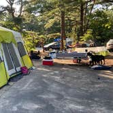 Review photo of Cape Henlopen State Park Campground by barb C., August 6, 2022