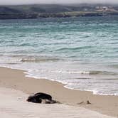 Review photo of Santa Rosa Island Backcountry Beach Camping — Channel Islands National Park by Katie O., July 22, 2018