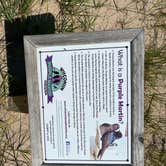 Review photo of Kohler-Andrae State Park by Kathie M., August 6, 2022