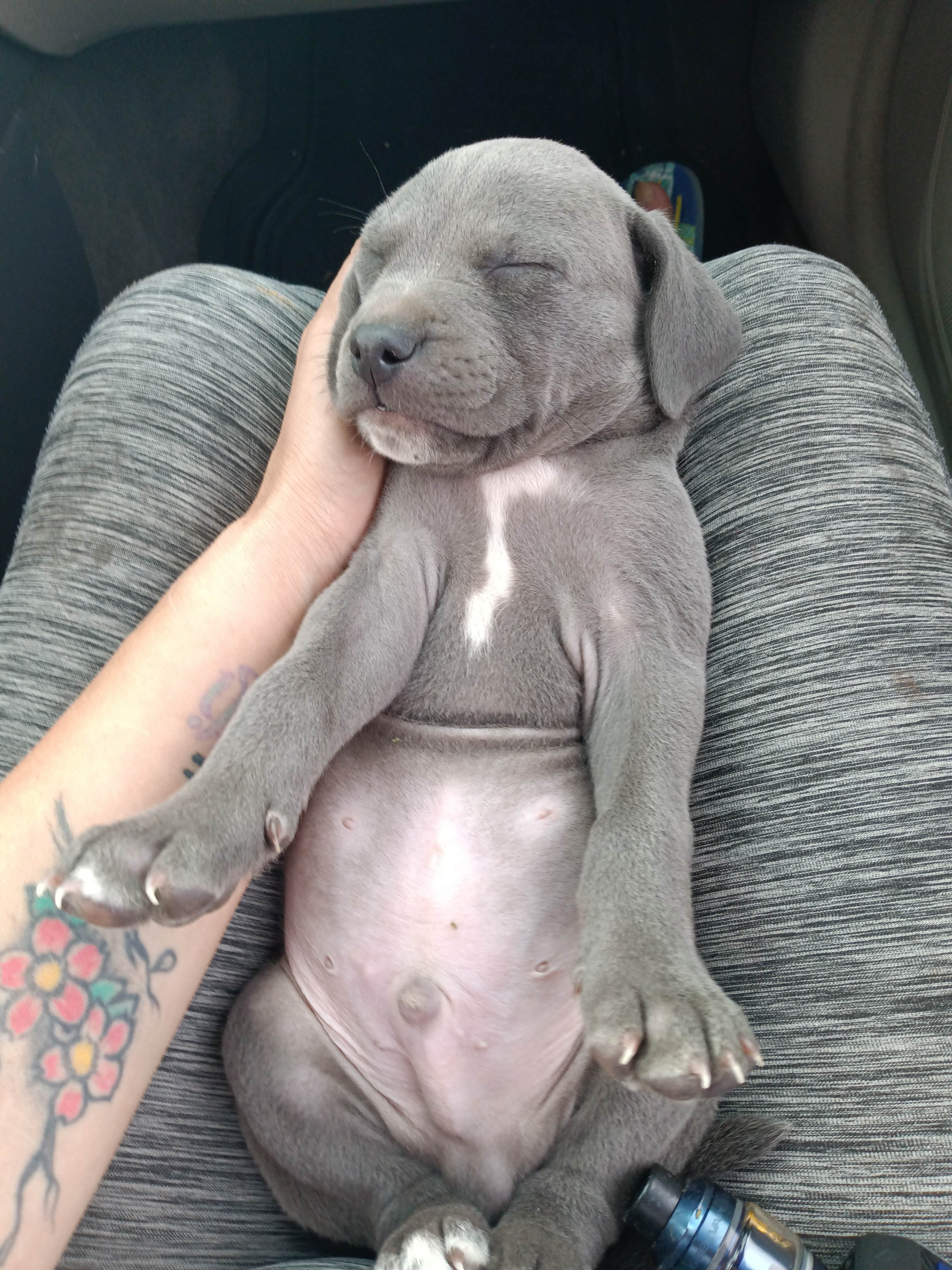 Camping near Twin Falls County Murtaugh Lake Park: Anderson Camp RV Park, Hansen, Idaho