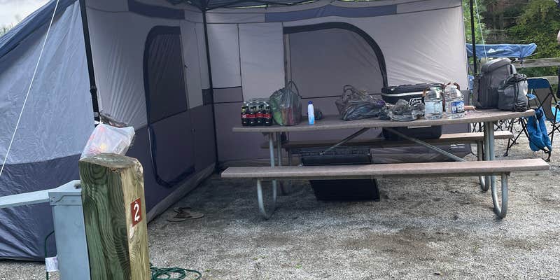 Camper submitted image from Wagoner — New River State Park