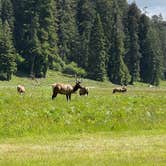 Review photo of Mill Creek Campground — Del Norte Coast Redwoods State Park by Andrew M., August 7, 2022