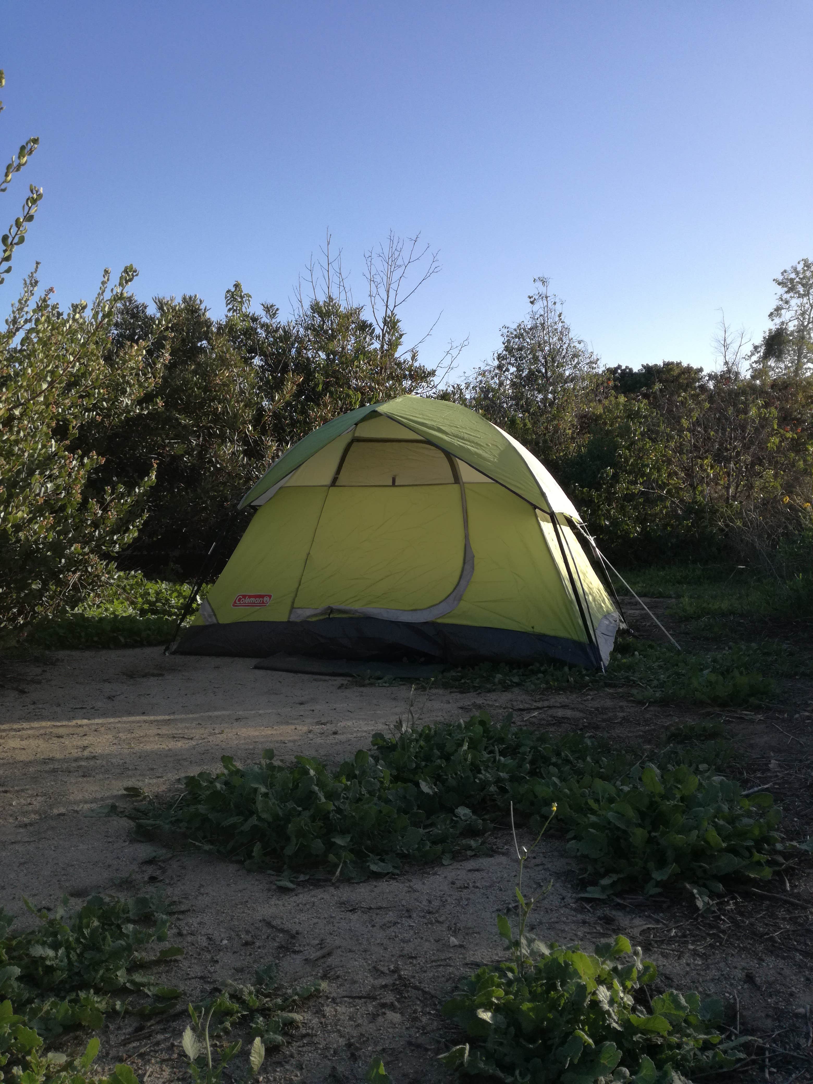 Elena S.'s photo at San Mateo Campground — San Onofre State Beach near Capistrano Beach, CA