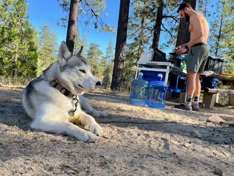 Camper-submitted photo at Horse Flats Campground near Valyermo, CA