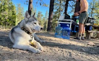 Josh F.'s photo of camping with pets at Horse Flats Campground near San Gabriel, CA