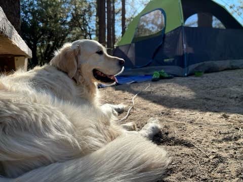 Camper-submitted photo at Horse Flats Campground near Valyermo, CA