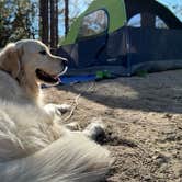 Review photo of Horse Flats Campground by Josh F., August 7, 2022