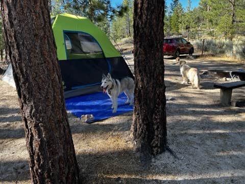Camper-submitted photo at Horse Flats Campground near Valyermo, CA