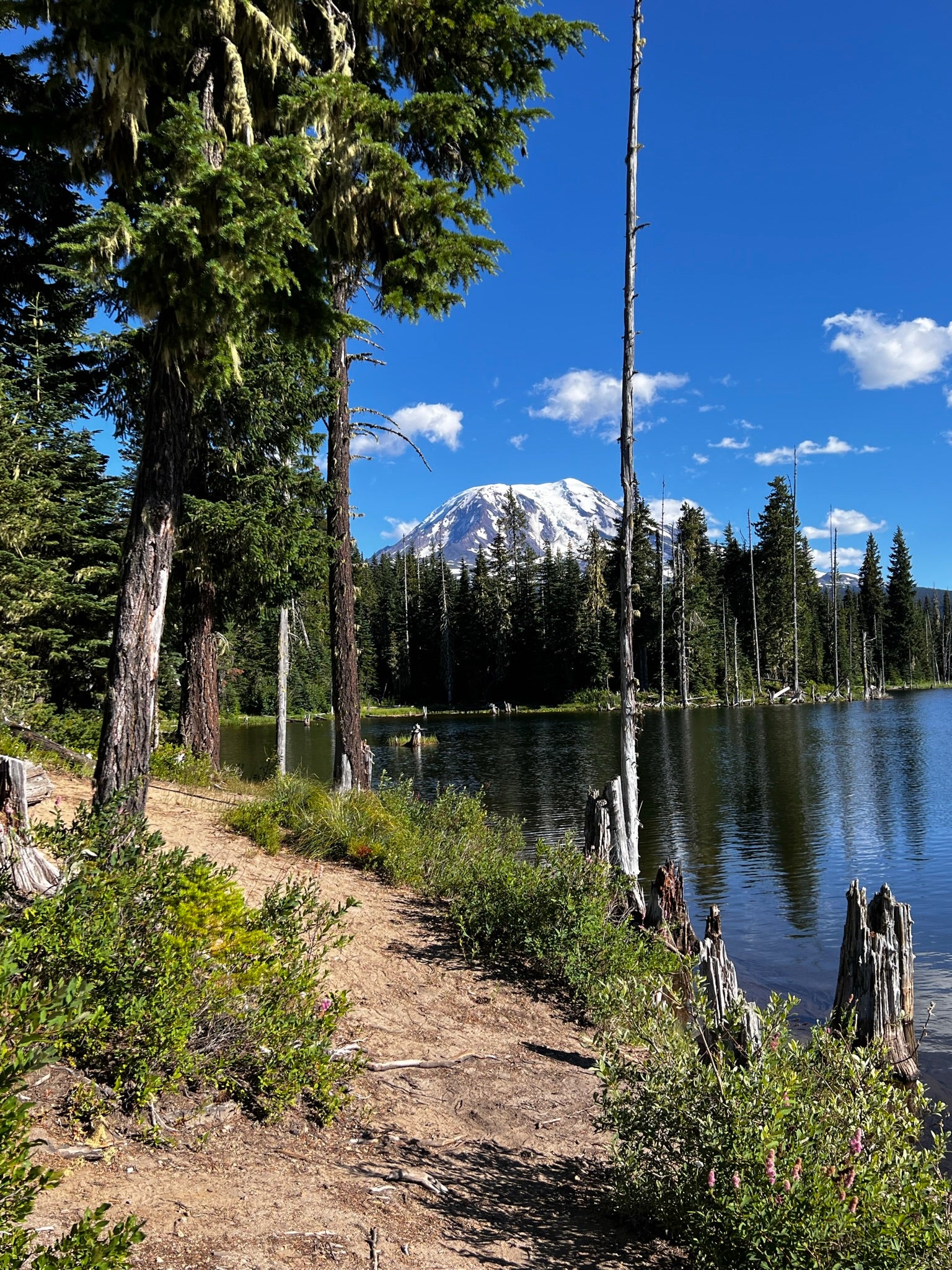 Camper submitted image from Horseshoe Lake - 2