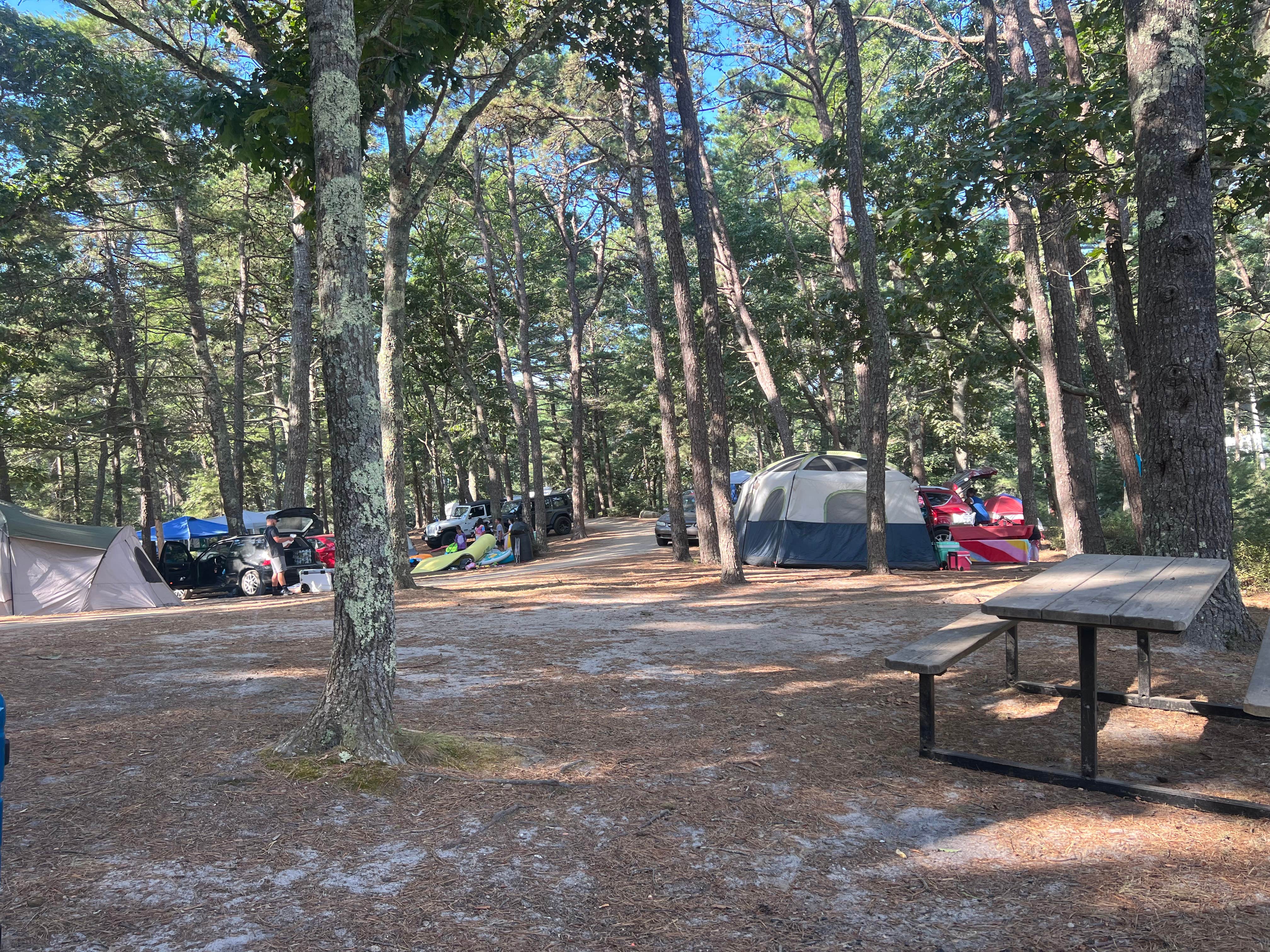 Camper-submitted photo at Cape Cod's Maple Park Campground and RV Park near Sandwich, MA