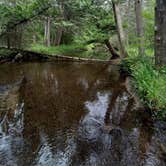 Review photo of Devoe Lake Rustic Campround — Rifle River Recreation Area by Tasha T., August 7, 2022