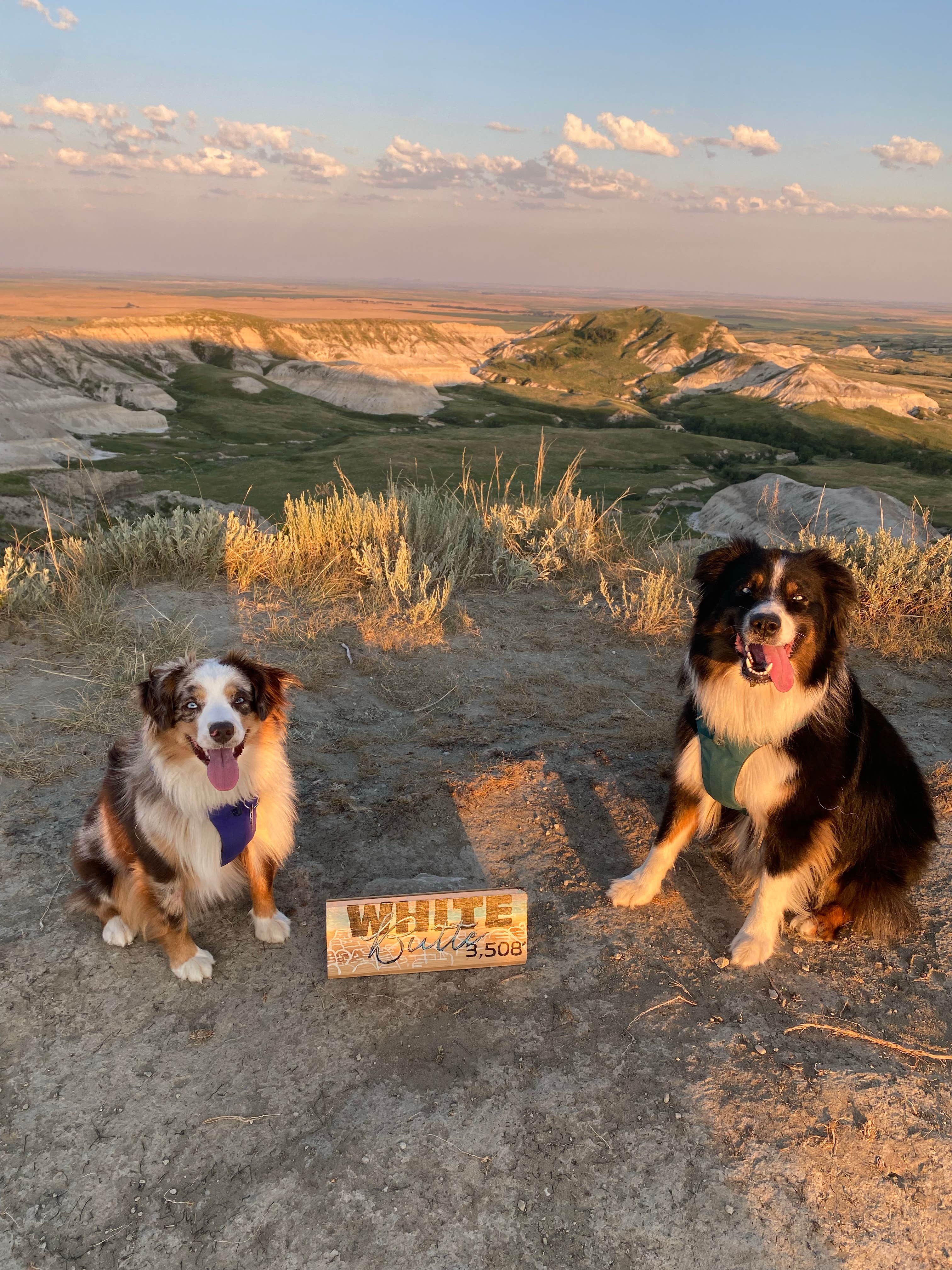 Camper-submitted photo at Cabins of Amidon near Hettinger, ND