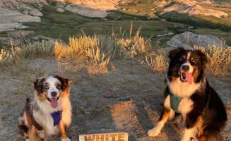 Whistle P.'s photo of camping with pets at Cabins of Amidon near Amidon, ND