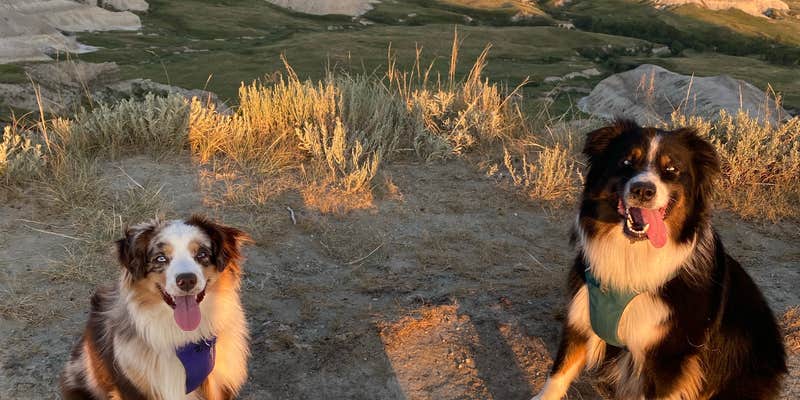 Camper submitted image from Cabins of Amidon