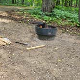 Review photo of White Fox — Myre-Big Island State Park by Ken K., August 7, 2022