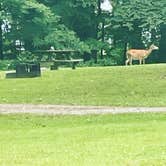 Review photo of Cecil M Harden Lake Raccoon State Recreation Area by Lerin P., August 7, 2022