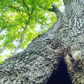 Review photo of Cecil M Harden Lake Raccoon State Recreation Area by Lerin P., August 7, 2022