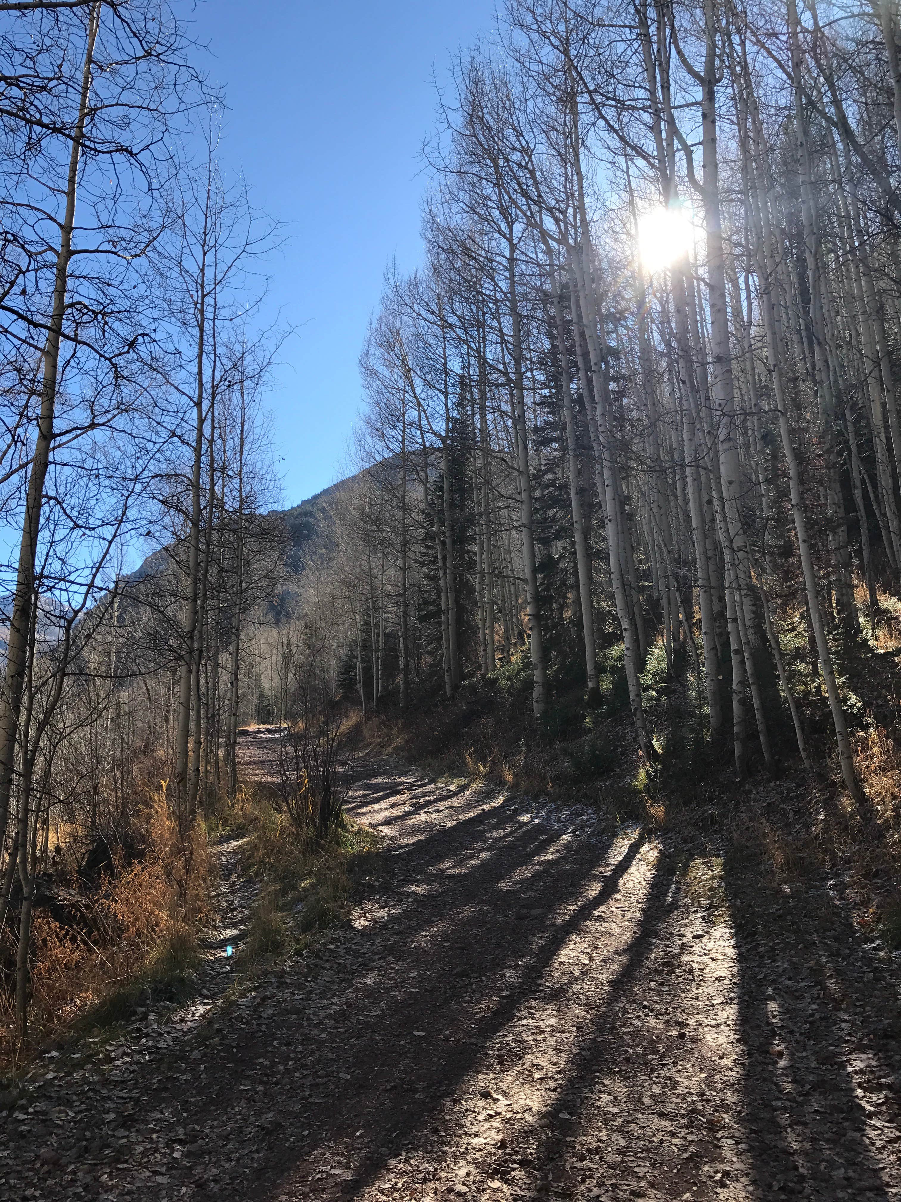 Camper submitted image from Telluride Town Park Campground - 3