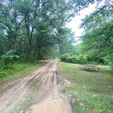 Review photo of Peshtigo River Campground by Kelli V., August 7, 2022