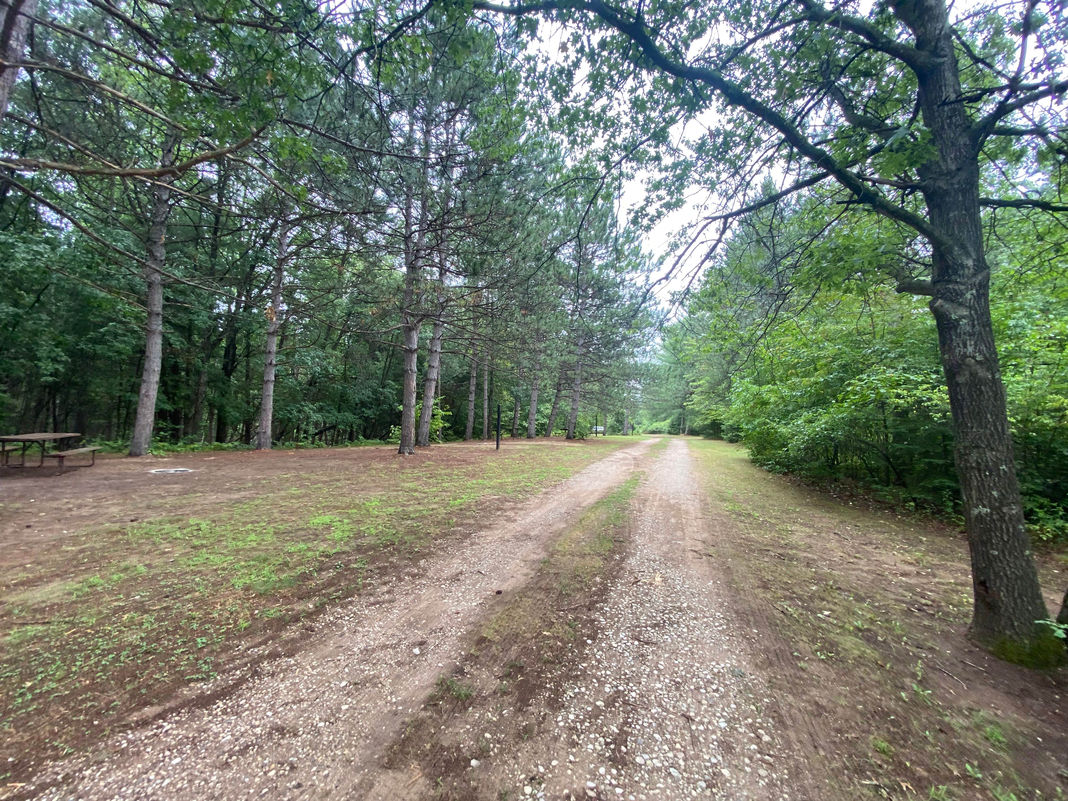Camper-submitted photo at Peshtigo River Campground near Amberg, WI