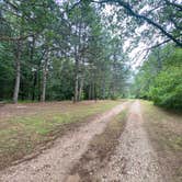 Review photo of Peshtigo River Campground by Kelli V., August 7, 2022