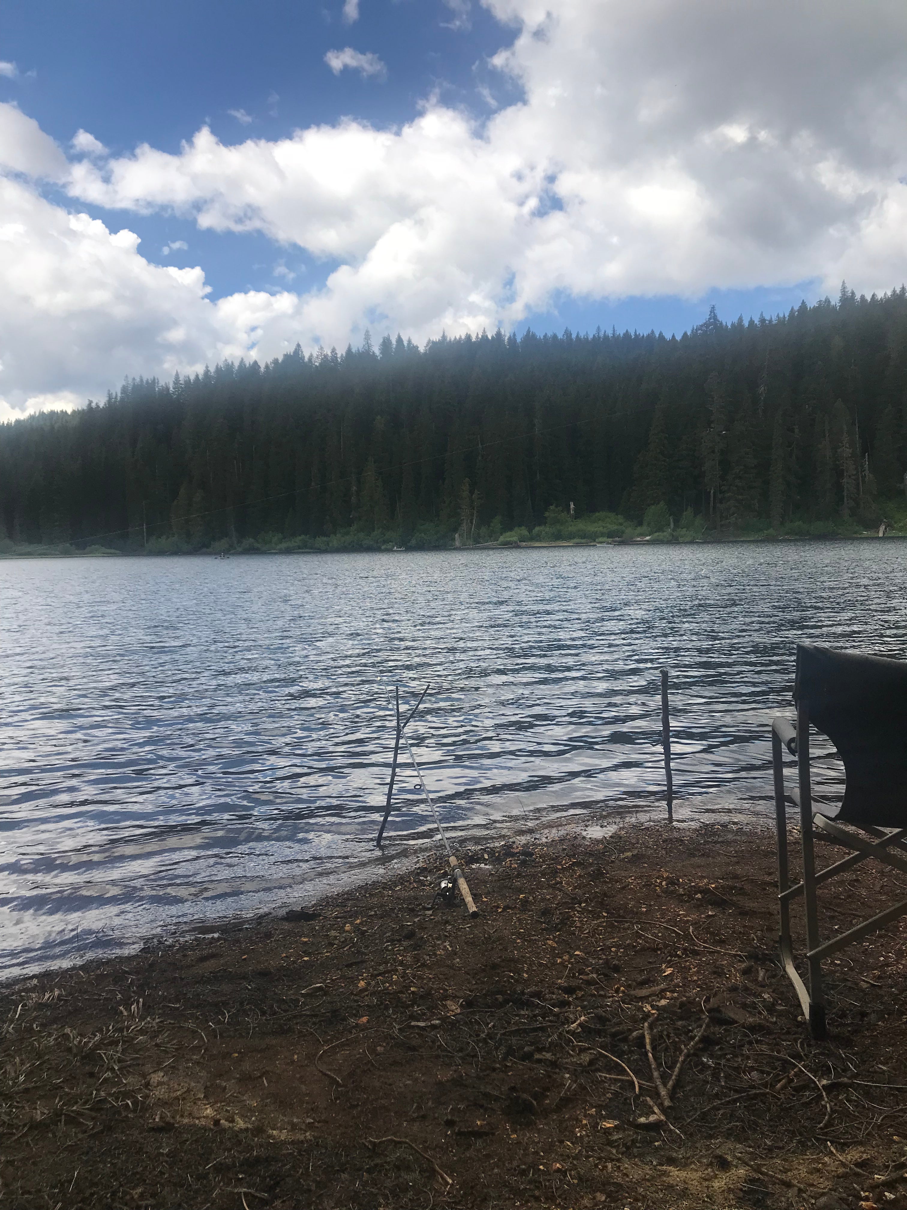 Camper submitted image from Goose Lake Campground - 3
