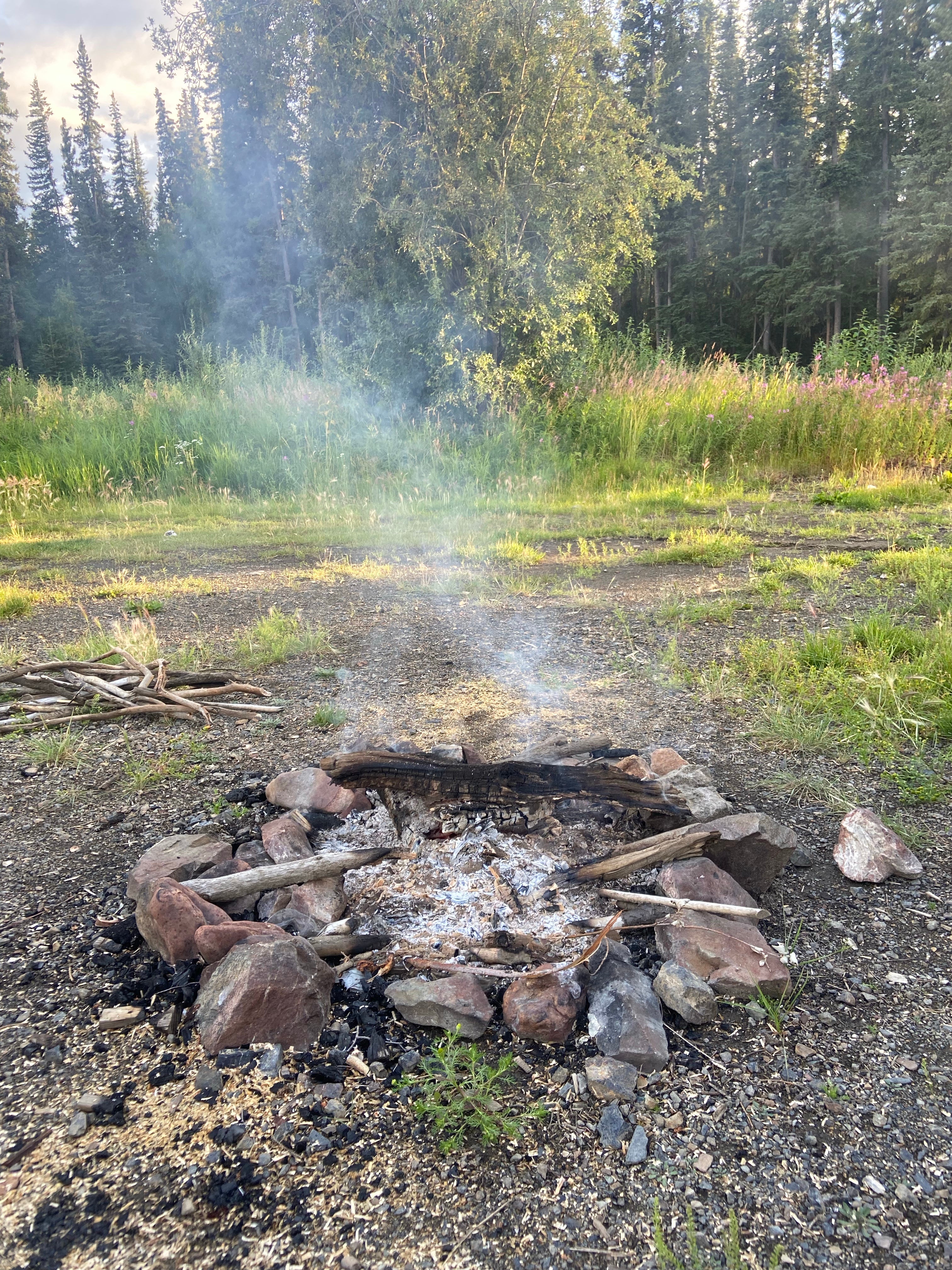Camper submitted image from Colorado Creek Trailhead Dispersed Camping - 3