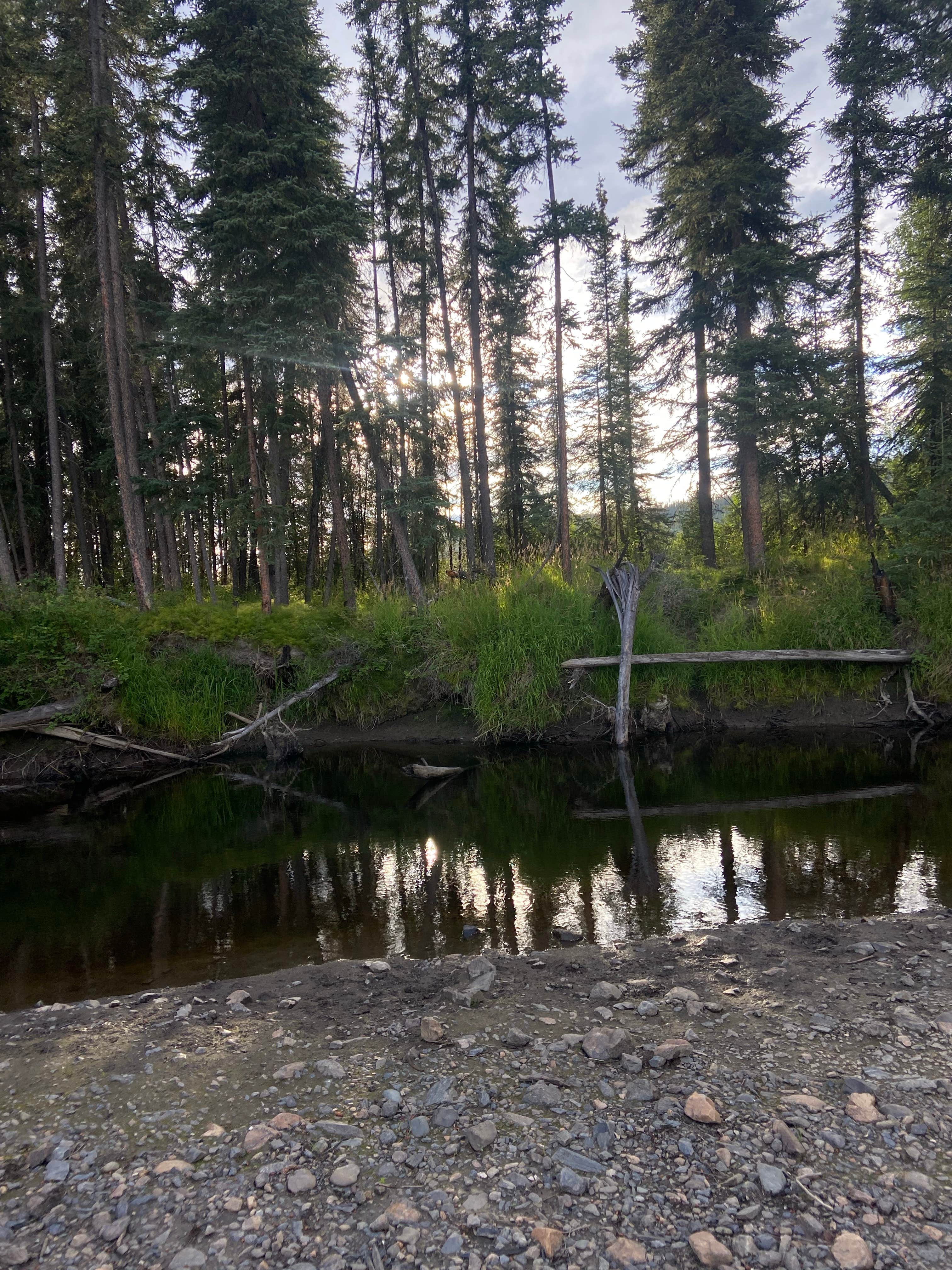 Camper submitted image from Colorado Creek Trailhead Dispersed Camping - 5