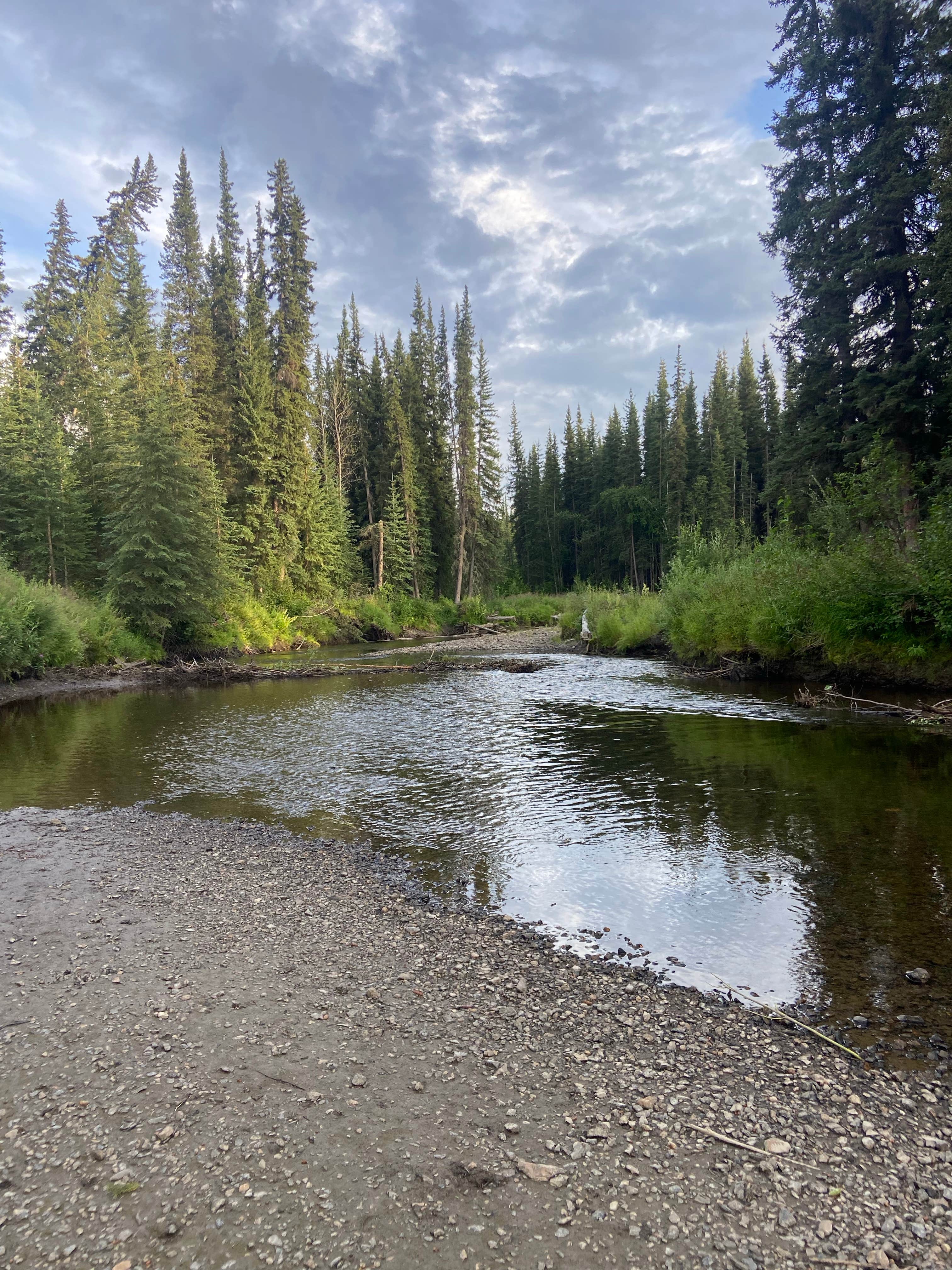 Camper-submitted photo at Colorado Creek Trailhead Dispersed Camping near Fort Wainwright, AK