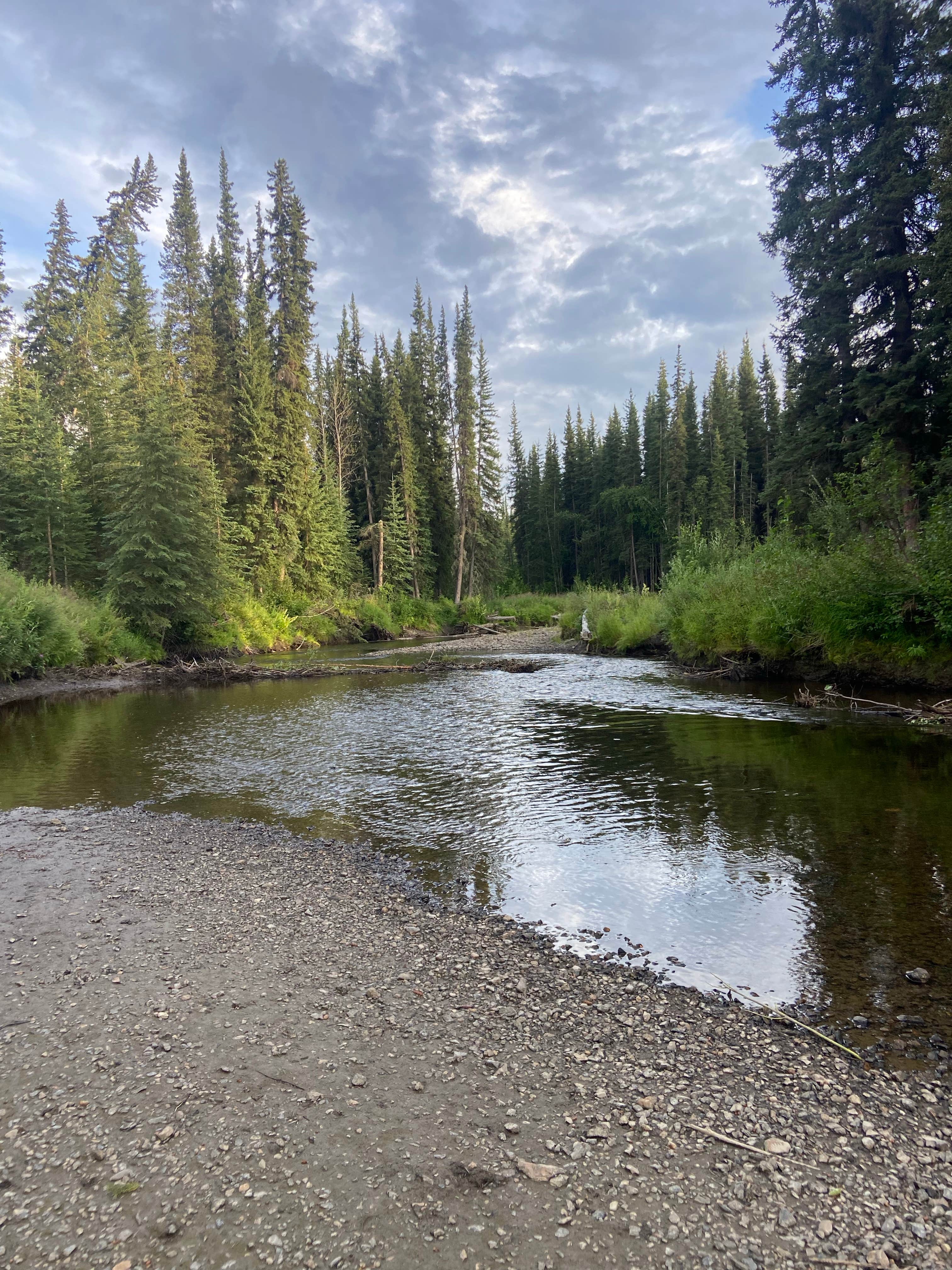 Camper submitted image from Colorado Creek Trailhead Dispersed Camping - 2