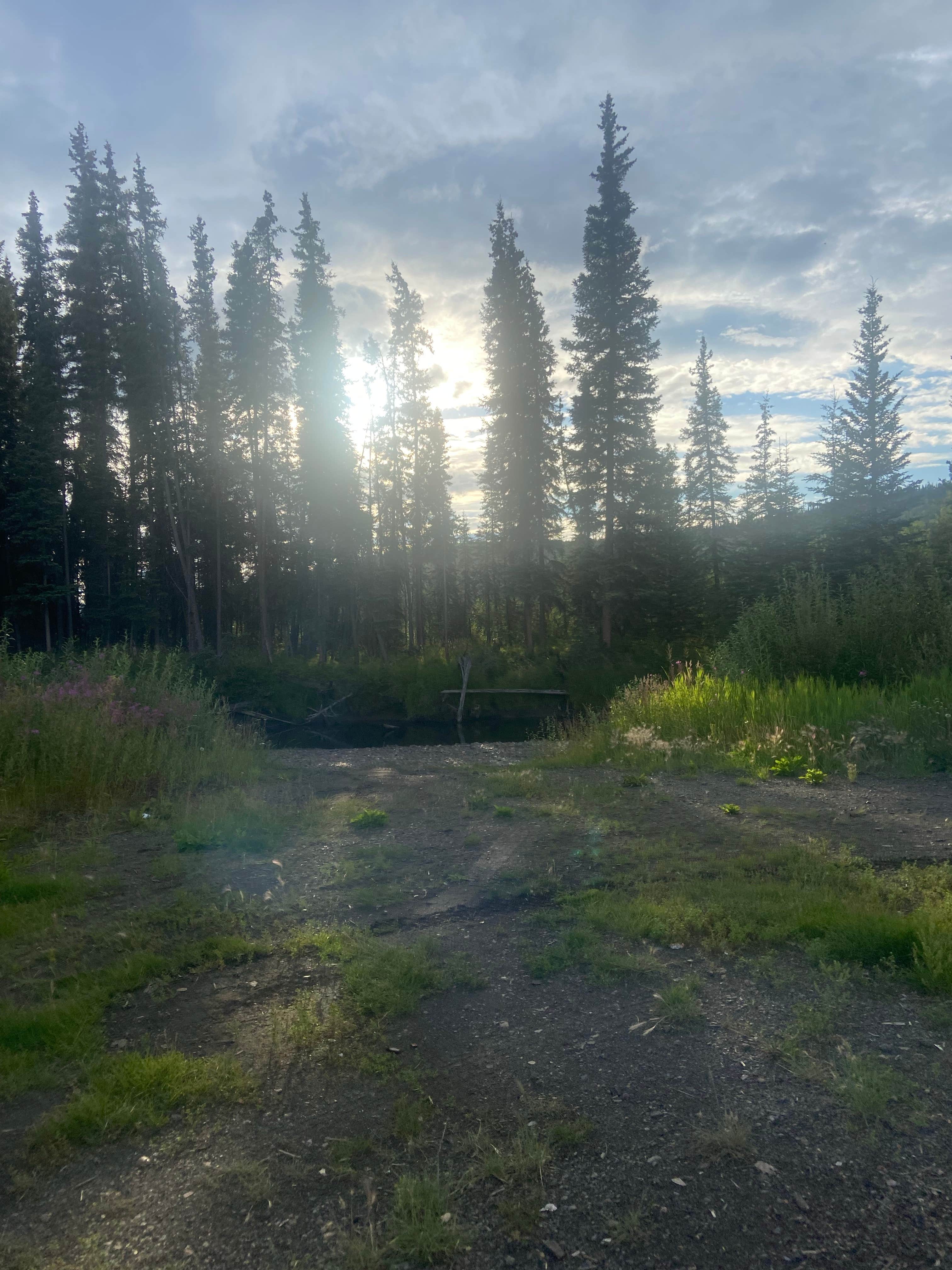 Camper-submitted photo at Colorado Creek Trailhead Dispersed Camping near Fort Wainwright, AK