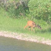 Review photo of Deer Gulch by Eric G., August 7, 2022