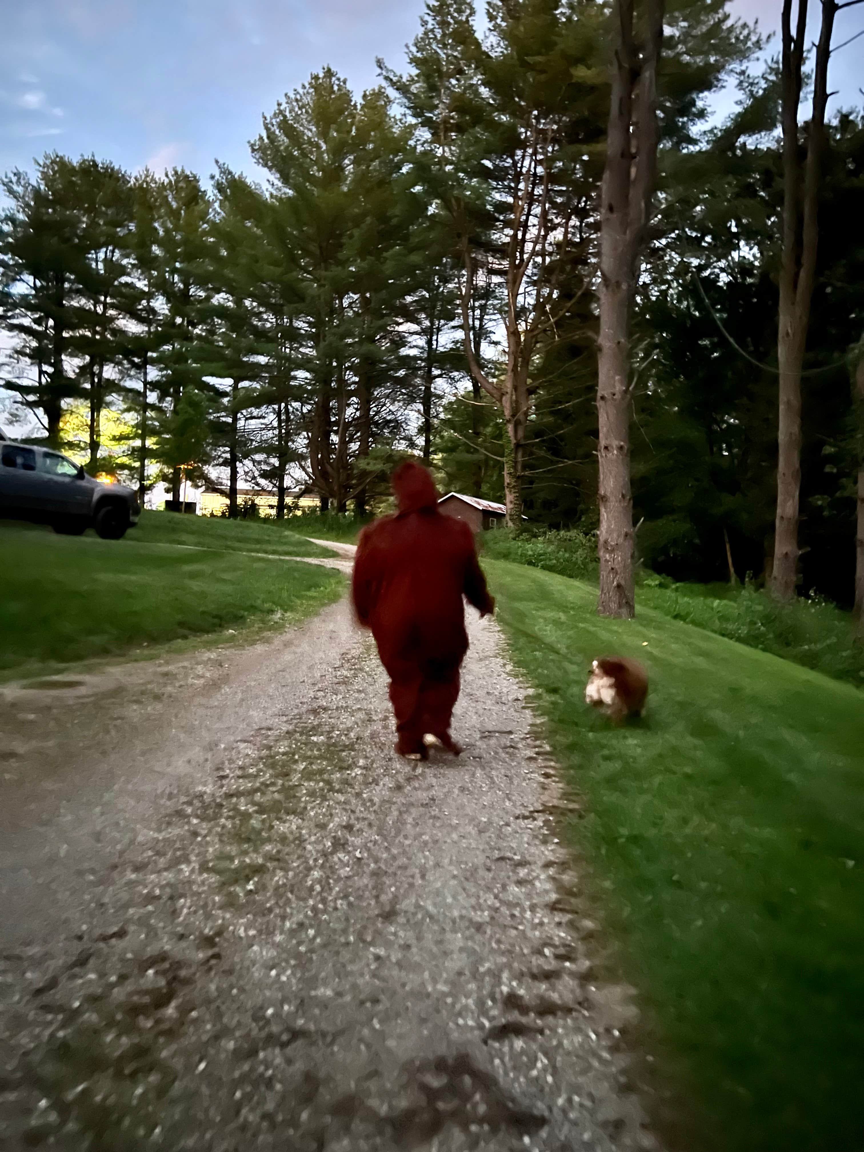 Jessica R.'s photo of camping with pets at Campbell Cove Camping near Glouster, OH