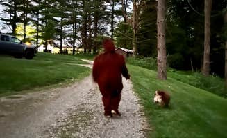Jessica R.'s photo of camping with pets at Campbell Cove Camping near New Lexington, OH
