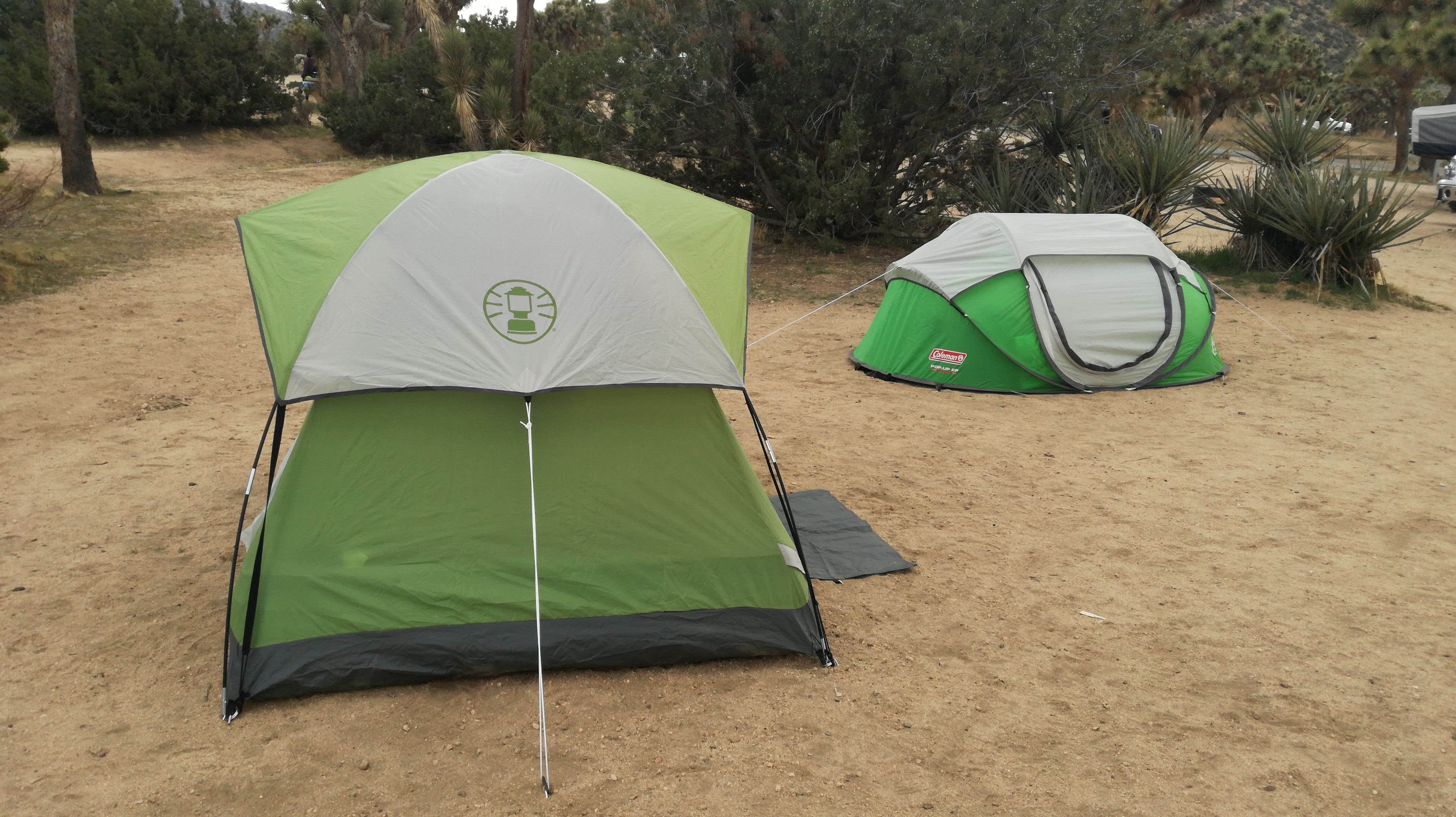 Elena S.'s photo at Black Rock Campground — Joshua Tree National Park near Morongo Valley, CA