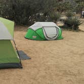 Review photo of Black Rock Campground — Joshua Tree National Park by Elena S., July 22, 2018