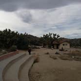 Review photo of Black Rock Campground — Joshua Tree National Park by Elena S., July 22, 2018